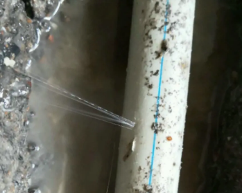 闵行卫生间测漏水多少钱 闵行卫生间测漏水多少钱