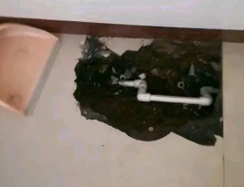 闵行卫生间测漏水多少钱